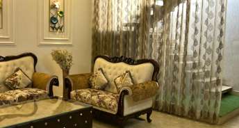 3 BHK Apartment For Rent in Vip Road Zirakpur 6798001