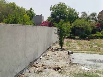  Plot For Resale in Sikri Faridabad 6798218