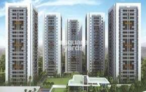 2 BHK Apartment For Resale in Mittal SkyHigh Towers Hinjewadi Pune 6798829