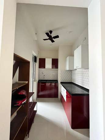 1 BHK Apartment For Rent in Godrej Hillside 2 Mahalunge Pune  6798838