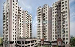 2 BHK Apartment For Rent in Salarpuria Serenity Hsr Layout Bangalore 6798885