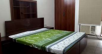 3 BHK Builder Floor For Rent in Sector 45 Chandigarh 6798902
