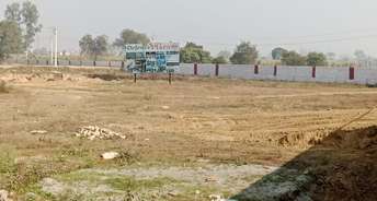 Commercial Industrial Plot 4000 Sq.Mt. For Resale In Ecotech 11 Greater Noida 6798958