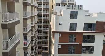 2 BHK Apartment For Rent in Lakshmi Cadillac Kondapur Hyderabad 6798979