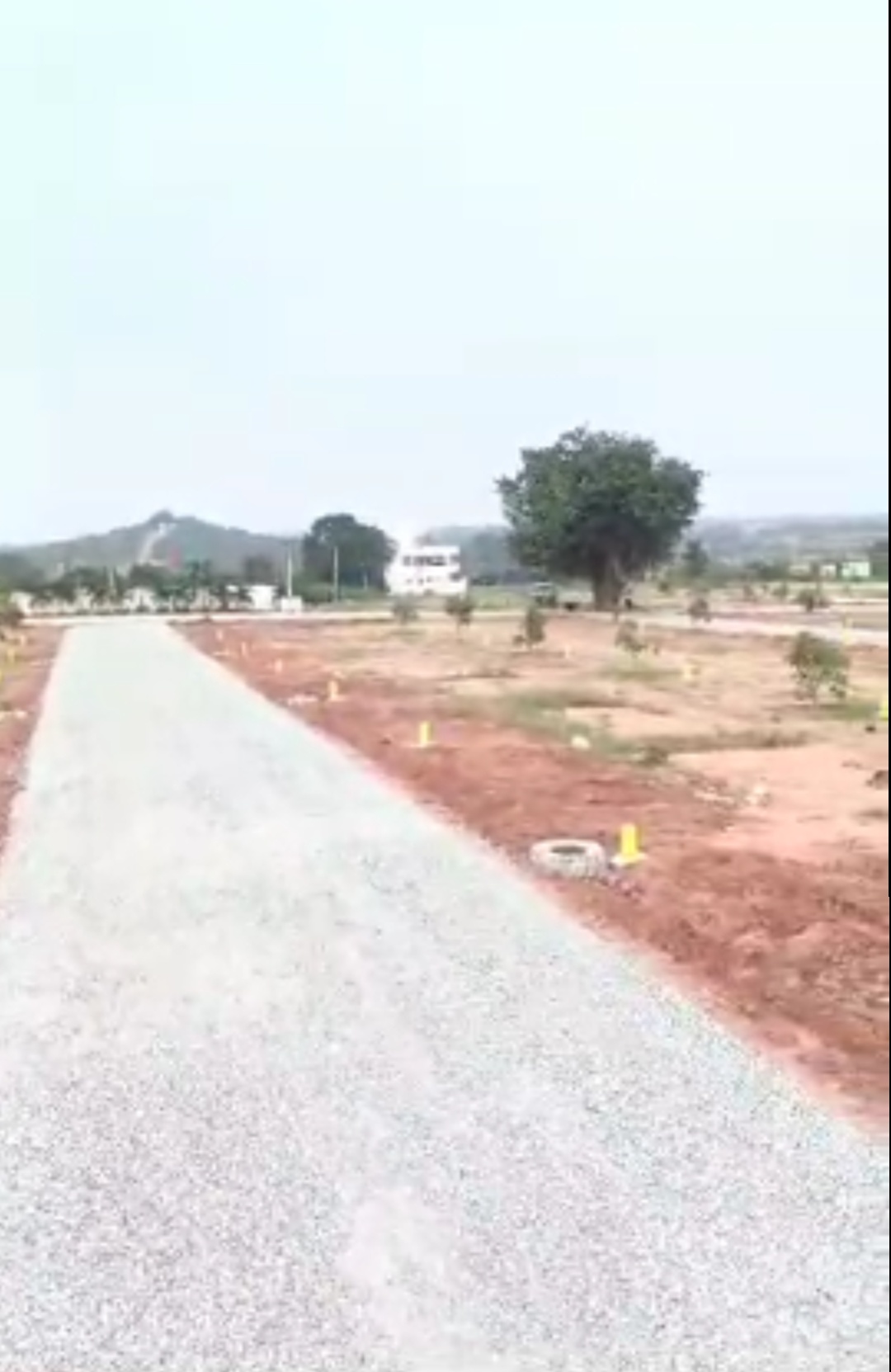 Plot For Resale in Harichandana Mayfair Villas Shadnagar Hyderabad  6799071