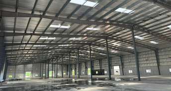 Commercial Warehouse 50000 Sq.Yd. For Rent In Medchal Hyderabad 6799134