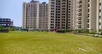 3 BHK Apartment For Resale in MGH Mulberry County Sector 70 Faridabad 6799158