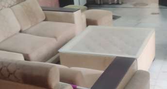 2 BHK Builder Floor For Rent in RWA Rohini Apartments Rohini Sector 8 Delhi 6799196