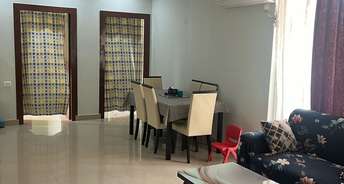 2 BHK Apartment For Rent in Anant Raj Maceo Sector 91 Gurgaon 6799356