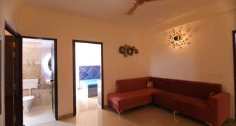 2 BHK Apartment For Rent in Proview Officer City 2 Raj Nagar Extension Ghaziabad 6799591