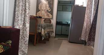 2 BHK Apartment For Rent in Mayur Vihar Phase 1 Pocket 2 RWA Mayur Vihar Delhi 6799811