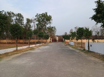 Plot For Resale in Neelendras Amity Greens Gomti Nagar Lucknow  6799939