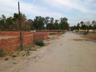 Plot For Resale in Neelendras Amity Greens Gomti Nagar Lucknow  6799939