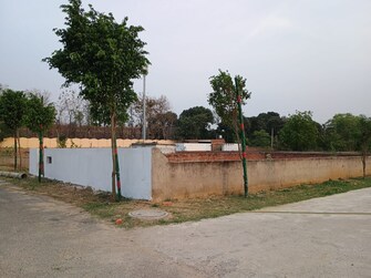 Plot For Resale in Neelendras Amity Greens Gomti Nagar Lucknow  6799939