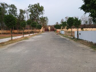 Plot For Resale in Neelendras Amity Greens Gomti Nagar Lucknow  6799939