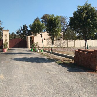 Plot For Resale in Neelendras Amity Greens Gomti Nagar Lucknow  6799939