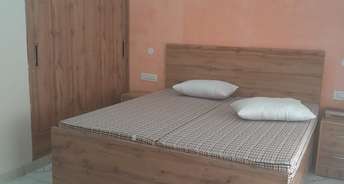 2 BHK Builder Floor For Rent in Aerocity Mohali 6798793