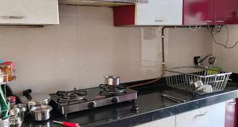 1 BHK Apartment For Rent in Abhay Sheetal Complex Mira Road Mumbai 6800234