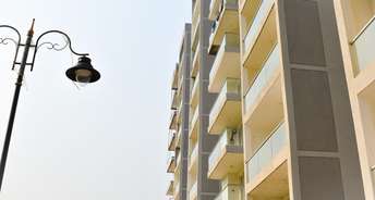 3 BHK Apartment For Resale in MR Proview Shalimar City Shalimar Garden Ghaziabad 6800314