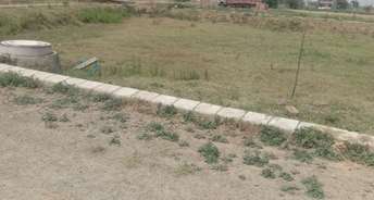  Plot For Resale in South Mullanpur Chandigarh 6800380