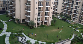 2 BHK Apartment For Rent in Signature Global The Millennia Phase 1 Garoli Kalan Gurgaon 6800467