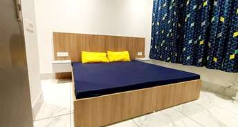 1 BHK Builder Floor For Rent in Surendra Sagar Homes Sector 30 Gurgaon 6800710