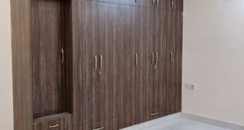 4 BHK Builder Floor For Rent in Sector 19 Faridabad 6800704