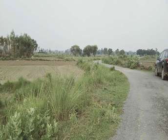 Commercial Industrial Plot 25 Acre For Resale In Shuklaganj Unnao 6800962