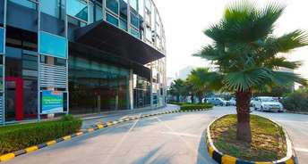 Commercial Office Space 1000 Sq.Ft. For Rent In Sector 49 Gurgaon 6801410