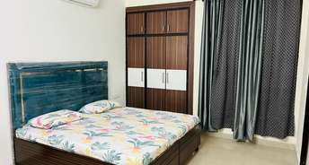 2 BHK Apartment For Rent in Maya Garden City Lohgarh Zirakpur 6801502