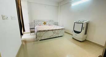 2 BHK Apartment For Rent in Lotus Homz Sector 111 Gurgaon 6801852