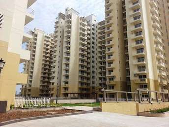 2 BHK Apartment For Resale in CHD Avenue 71 Sector 71 Gurgaon 6801702
