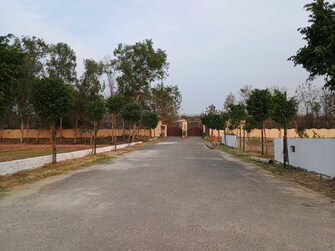 Plot For Resale in Royal Green City Gomati Nagar Gomti Nagar Lucknow  6801969