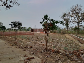 Plot For Resale in Royal Green City Gomati Nagar Gomti Nagar Lucknow  6801969