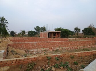 Plot For Resale in Royal Green City Gomati Nagar Gomti Nagar Lucknow  6801969