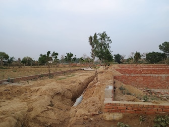 Plot For Resale in Royal Green City Gomati Nagar Gomti Nagar Lucknow  6801969