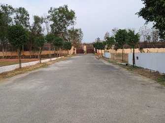 Plot For Resale in Royal Green City Gomati Nagar Gomti Nagar Lucknow  6801969