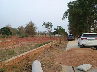 Plot For Resale in Royal Green City Gomati Nagar Gomti Nagar Lucknow  6801969