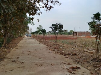 Plot For Resale in Royal Green City Gomati Nagar Gomti Nagar Lucknow  6801969