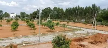  Plot For Resale in Ms Palya Bangalore 6801957