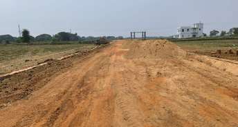  Plot For Resale in Phulnakhara Cuttack 6801973