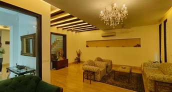 5 BHK Villa For Resale in Dlf Phase I Gurgaon 6802109