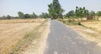 Commercial Land 3 Acre For Resale In Nawabganj Unnao 6802178