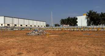  Plot For Resale in Bannerghatta Road Bangalore 6802044