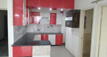 2 BHK Apartment For Rent in Jaypee Greens Aman Sector 151 Noida 6802237