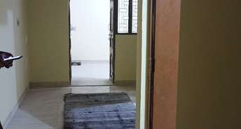 2.5 BHK Builder Floor For Rent in Ip Extension Delhi 6802467