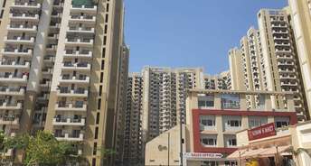 Studio Apartment For Rent in Ajnara Daffodil Sector 137 Noida 6802791
