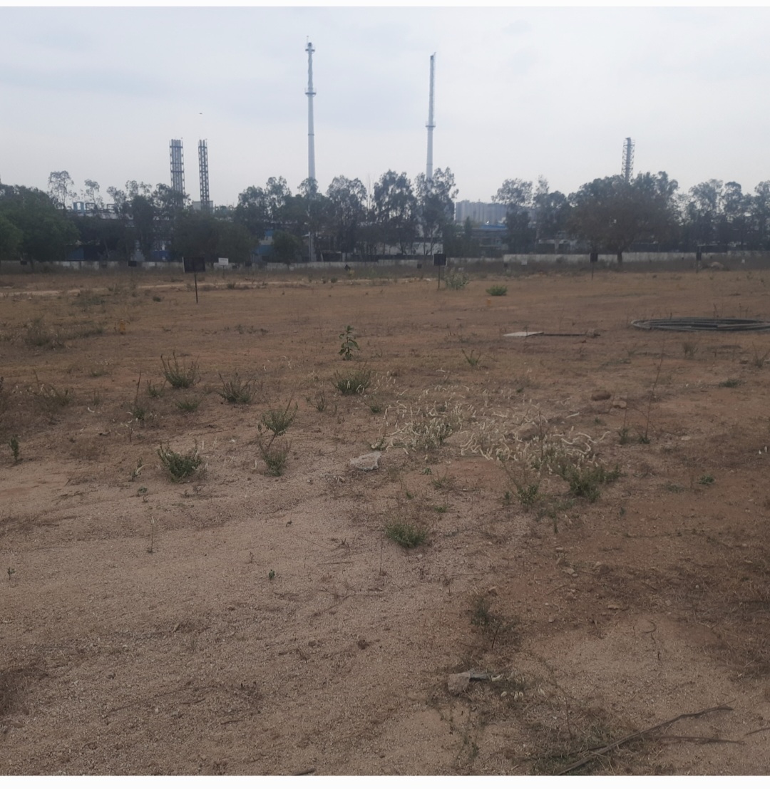 Plot For Resale in Bachupally Hyderabad  6802803