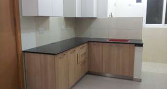 2 BHK Apartment For Rent in Mantri Celestia Gachibowli Hyderabad 6802823