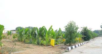 Commercial Land 200 Sq.Yd. For Resale In Bibinagar Hyderabad 6802955